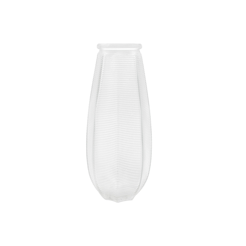 Round Belly Short Fat Clear Hydroponic Glass Flower Vase for Home Decor