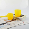 Wholesale Custom Beach Style Home Decorative Frosted Glass Candle Holders